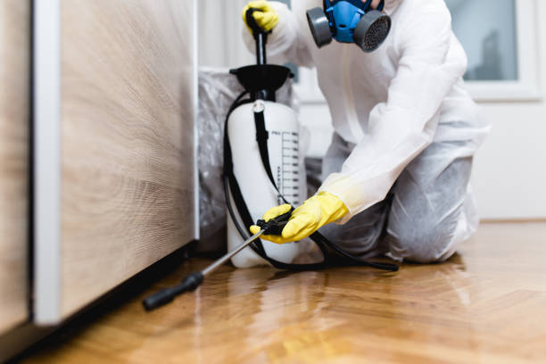 Best Affordable Pest Control Services  in Rosemont, PA