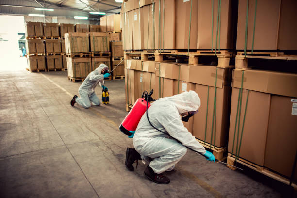 Best Pest Removal Services  in Rosemont, PA