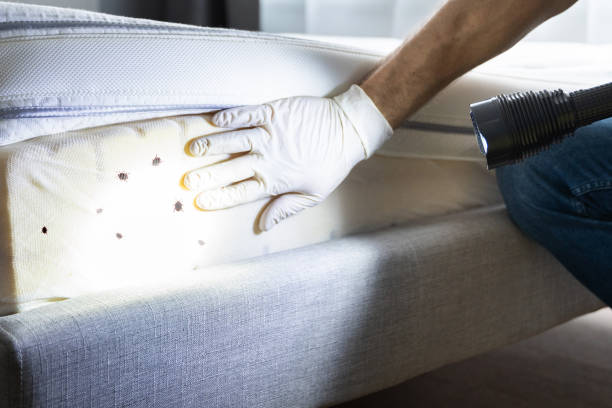 Best Emergency Pest Control  in Rosemont, PA