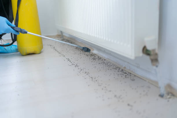 Best Rat Extermination Near Me  in Rosemont, PA